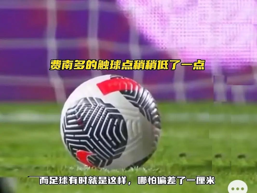 证篮球世界